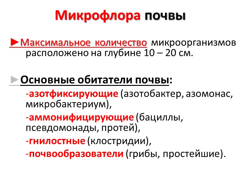 Микрофлора почвы ►Максимальное количество микроорганизмов расположено на глубине 10 – 20 см.  ►Основные